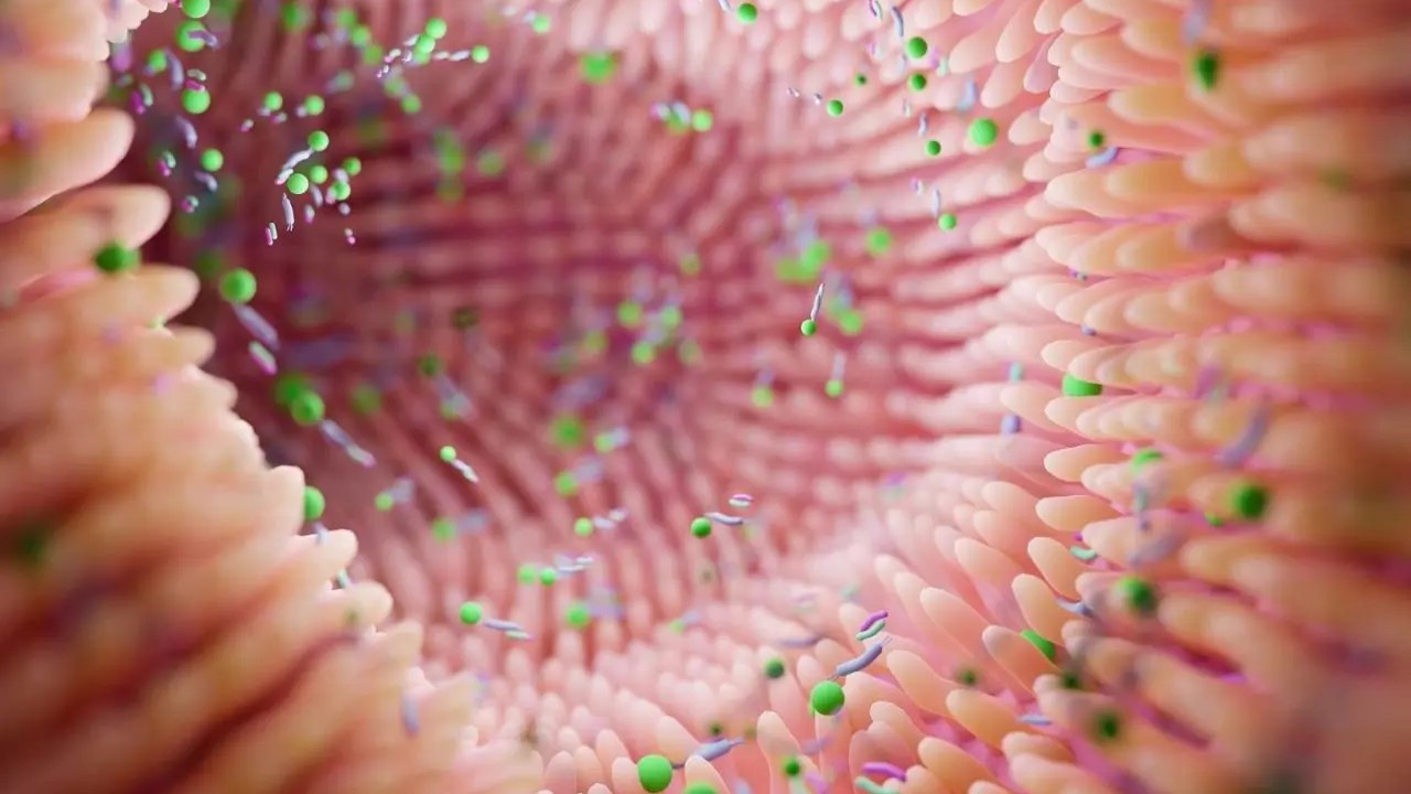 Cambios en la microbiota podrían ayudar a identificar el riesgo de Párkinson